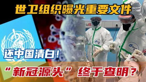 新冠源头爆料视频 第2张 新冠源头爆料视频 第2张