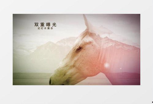 爆料视频 模板图片大全  第3张